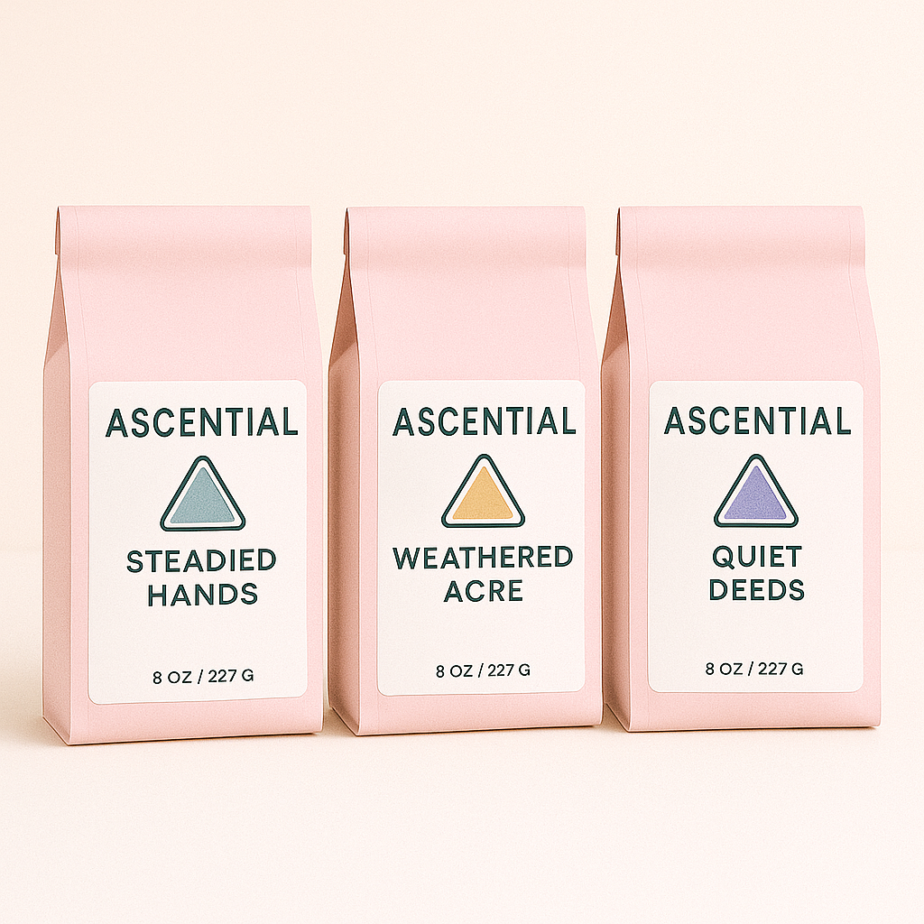 Ascential Trio (Bundle)